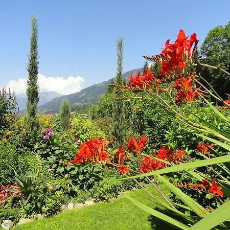 Aconitum In